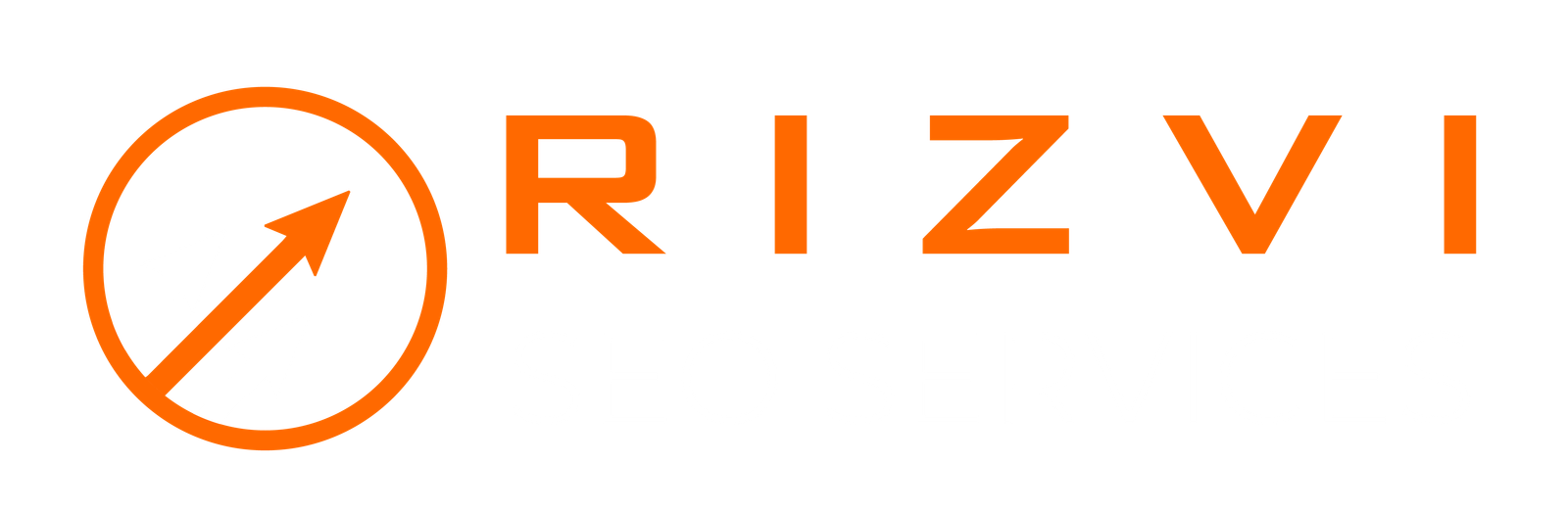 RizviSEOServicesinPakistan